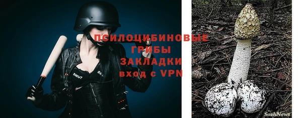 mix Новозыбков